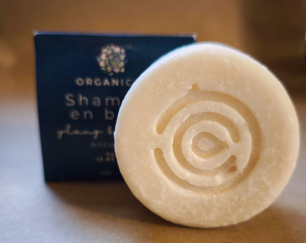 Miniatura: Shampoo organicum anticaida