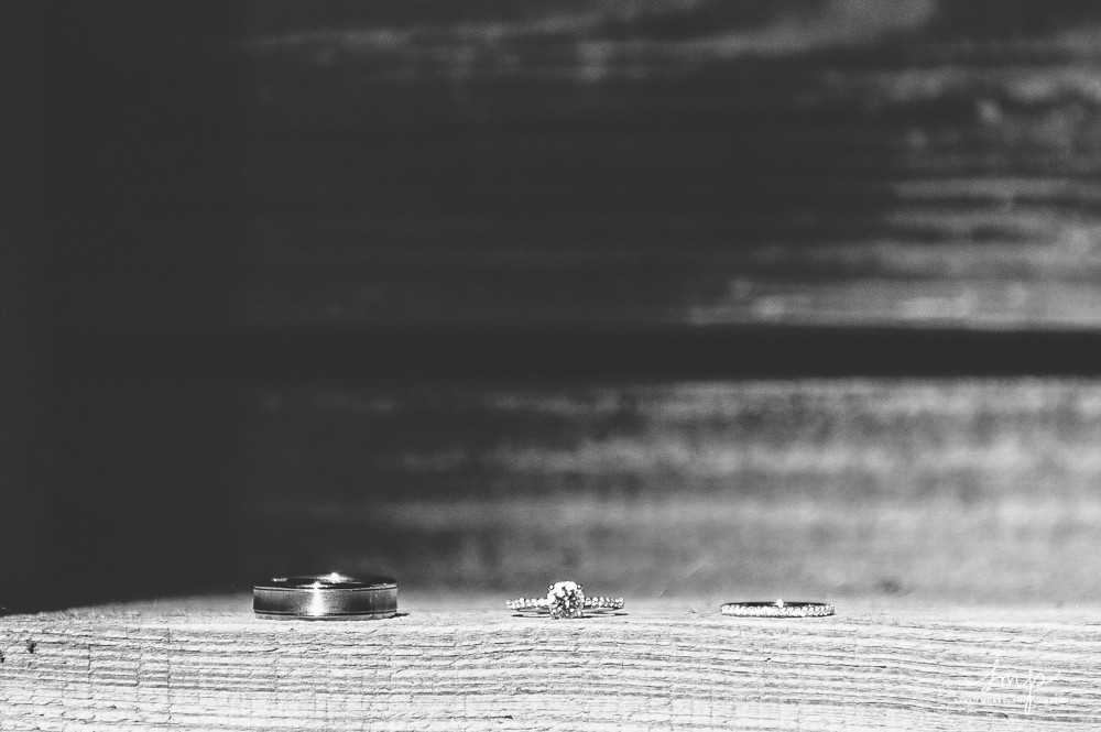 M&J (3 of 17).jpg