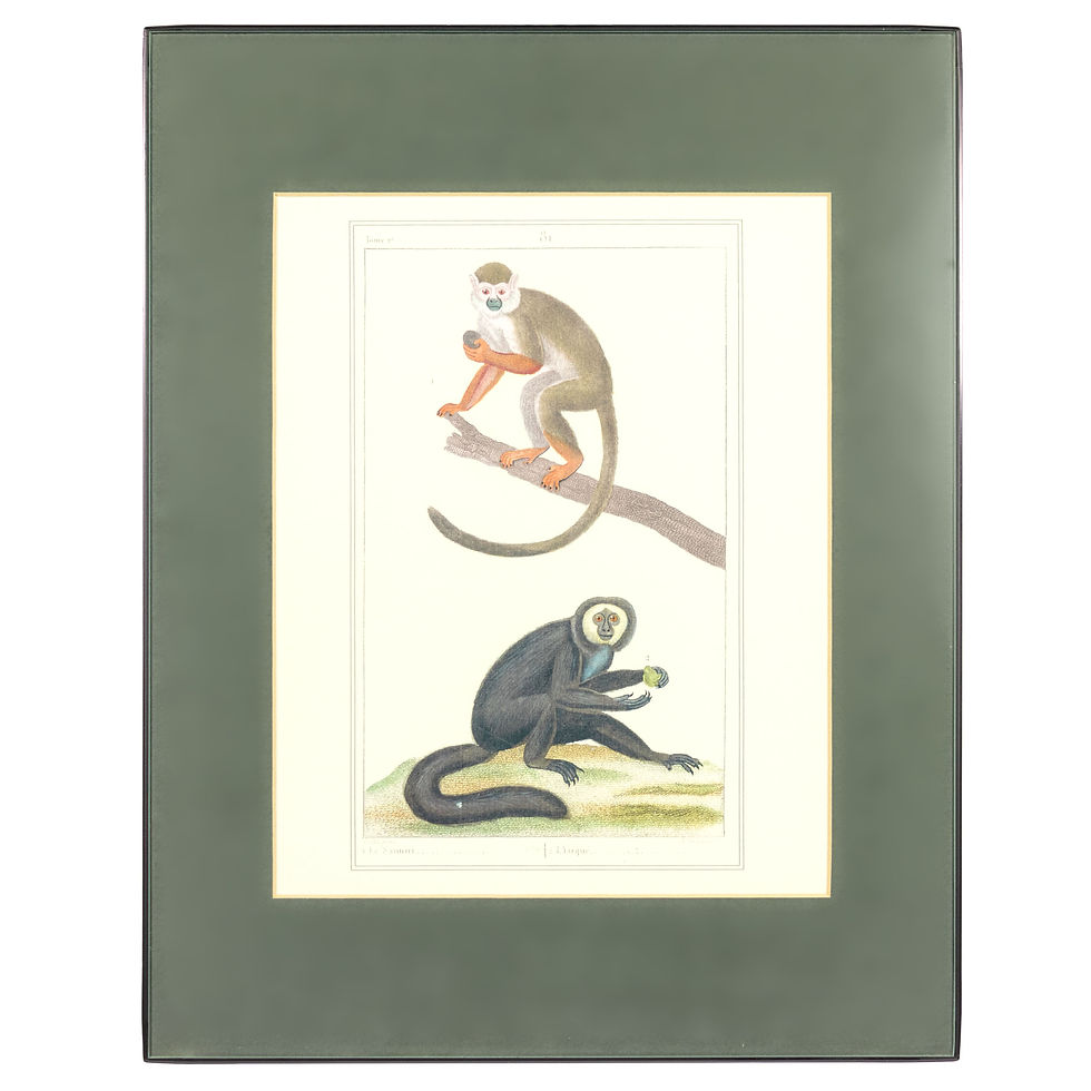 Reproduction Scientific Naturalist watercolor, After Nicholas II Huet