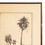 Thumbnail: Early 1900s California Desert Landscapes Scenes Signed Georges Wastier frame damage