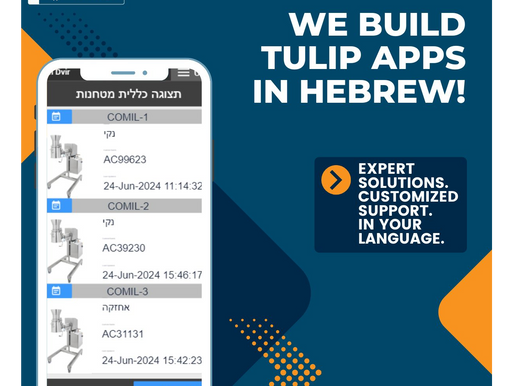 We Build Tulip Apps In Hebrew!