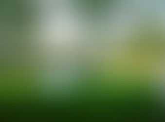 クレラー・ミュラー美術館