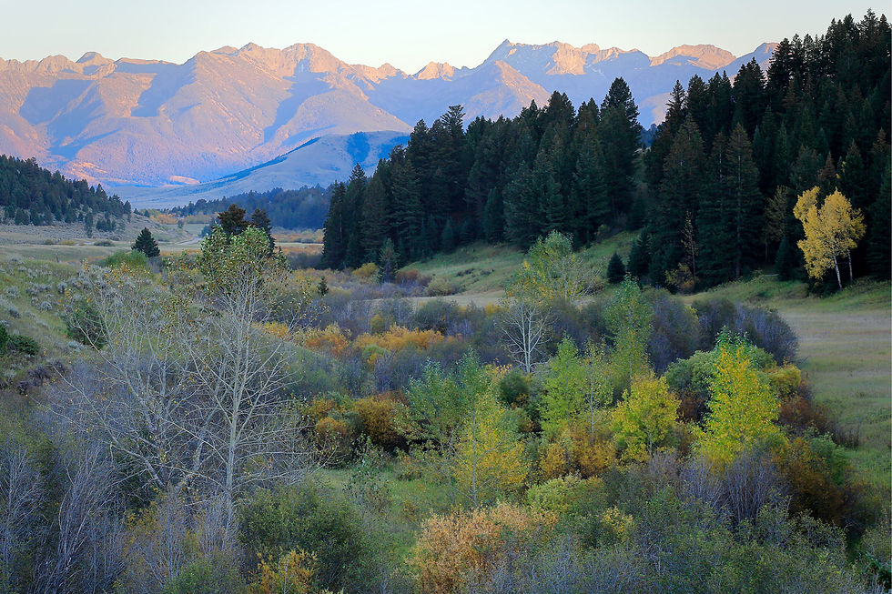 Mountains and bushes and trees with fall color