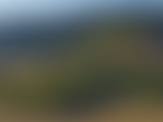 Trip Report: Photography, Challenges, and Cows