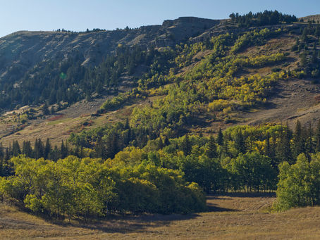 Trip Report: Photography, Challenges, and Cows