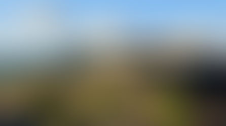 Friday Share: Meso-American History Revealed