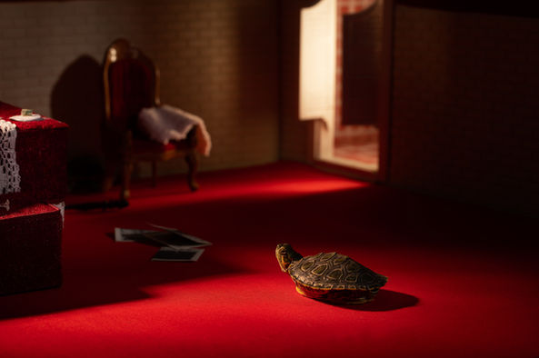 Tales Of The Tortillas CH. 01 #4 | Color Photography