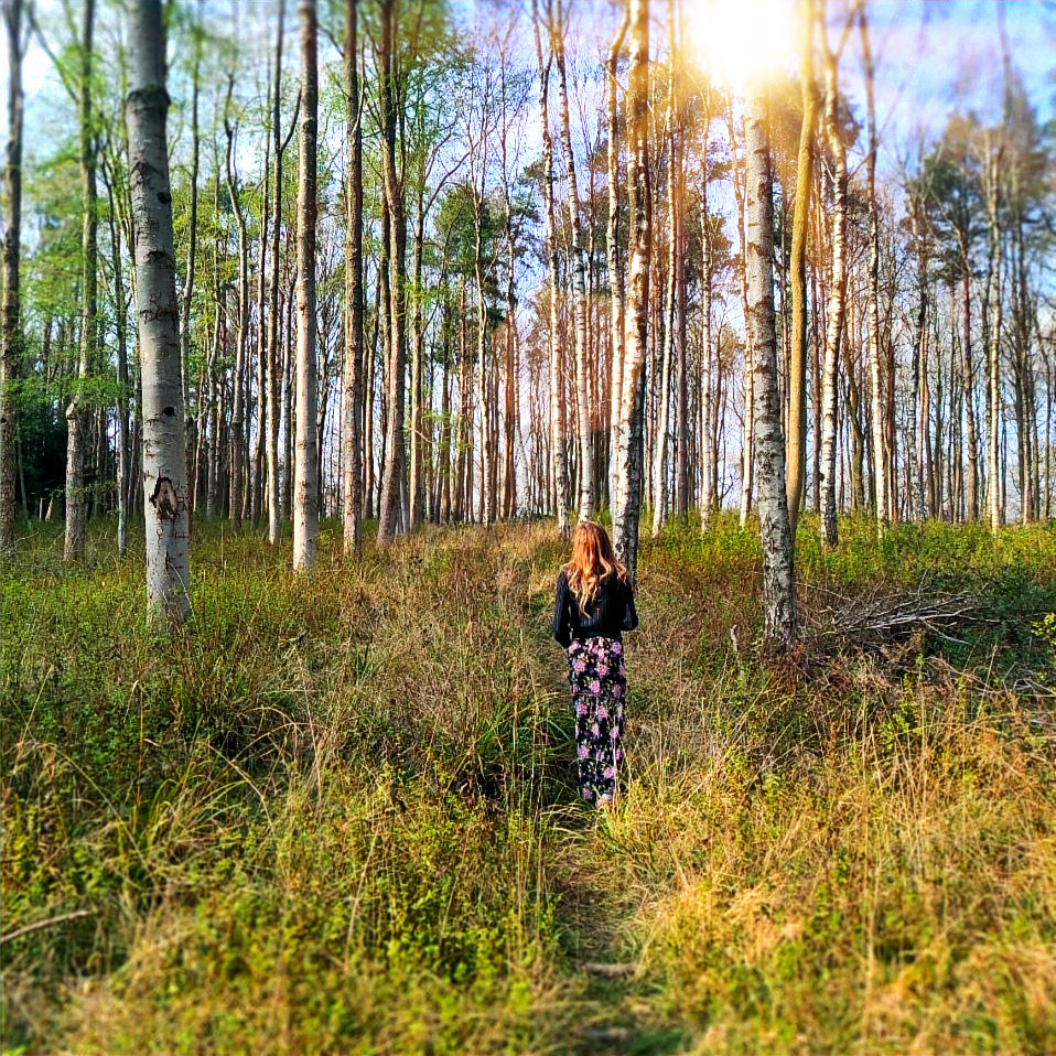 forest bathing_edited_edited.jpg