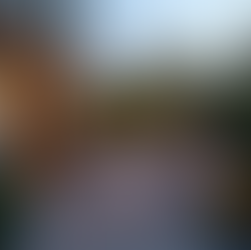 Renovar tu Terraza o Jardín: Ideas para Aprovechar al Máximo el Espacio Exterior