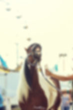 Scarett loves the Fair!