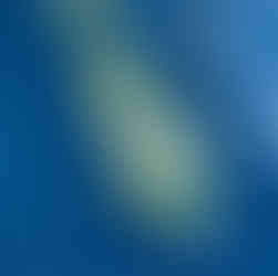 Costa_Rica_Fishing_Mahi_Mahi