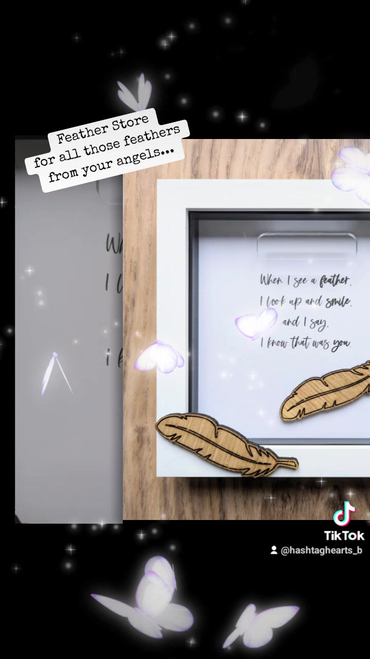 Thumbnail: Framed Feather Store