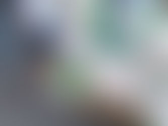 Patriotからの配送報告 8/25