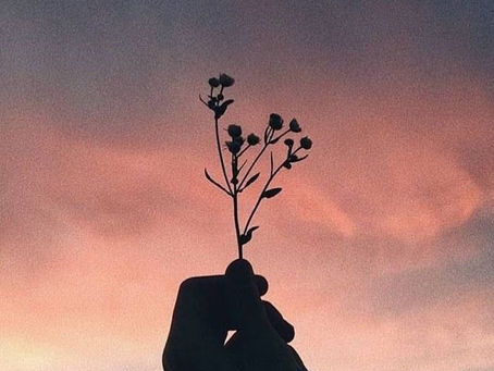 Kasımda Yazılanlar...