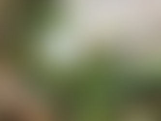 Aramakla Bulunmaz ama Bulanlar Arayanlardır