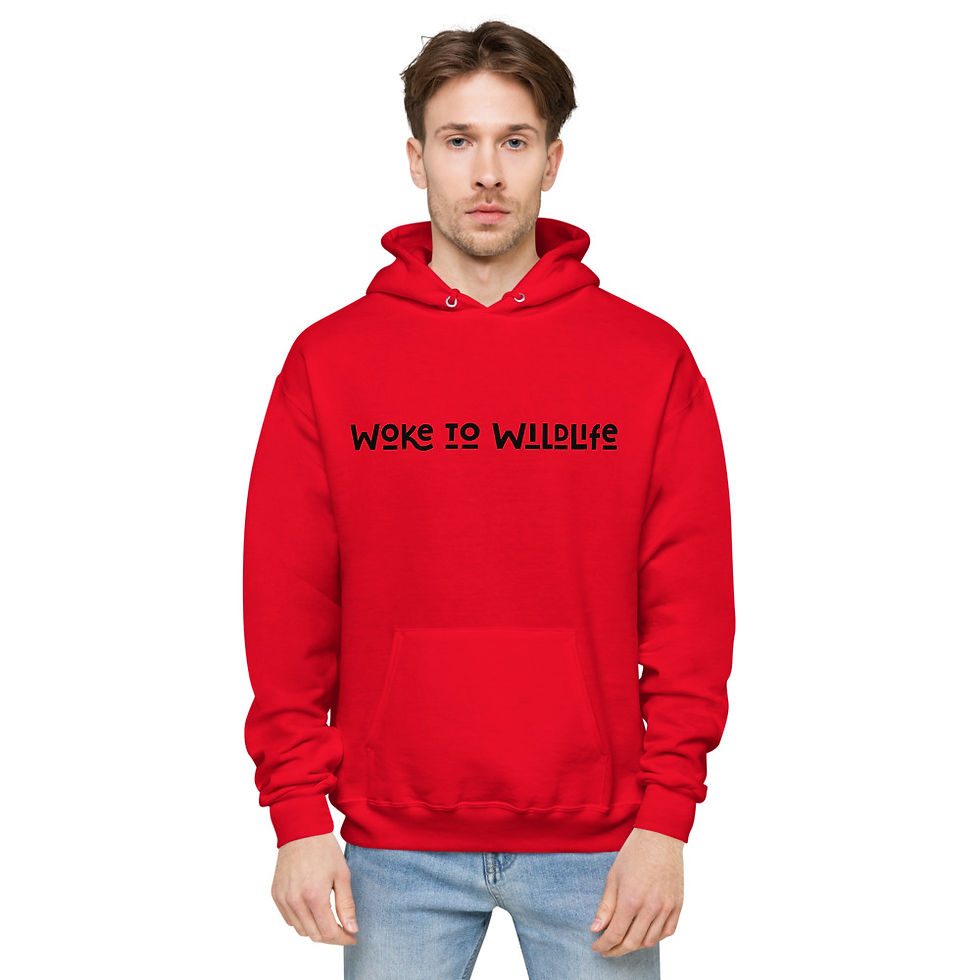 Thumbnail: Unisex fleece hoodie