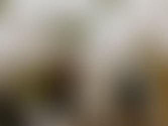 November 2025: Winter Edition - Herbs for Immunity