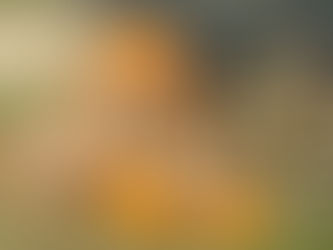 Fall Gathering: October 28