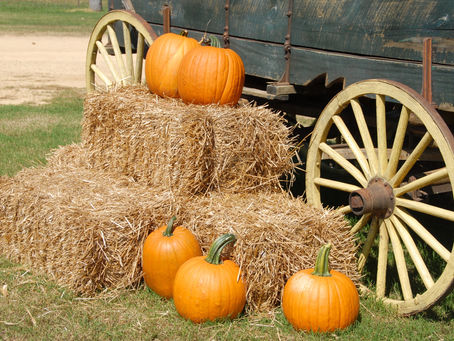 Fall Gathering: October 28