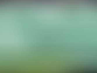 Investing in the Soccer Academy