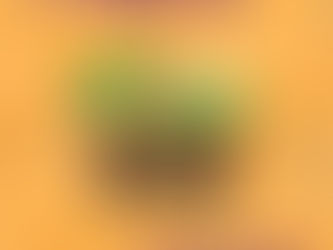 Thanksgiving Meal Kits