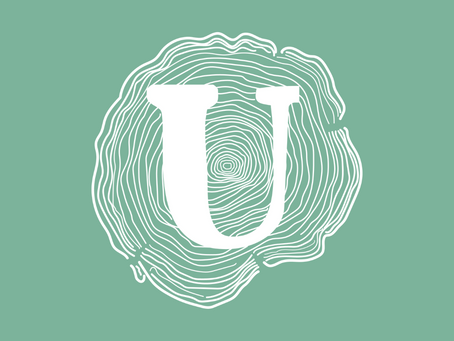 An Update from Our Senior Pastor on the recent Coronavirus Outbreak