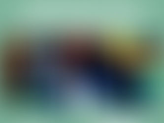 The Window: February 1, 2024