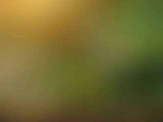 Pivoting Ministerial Roles to Maximize Success