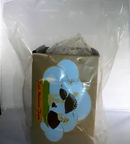 a7a70c_f6b09a74946b4707a1111e19627e8d9e~mv2_d_2160_2712_s_2.webp