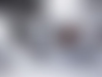 Utilities go to Extremes