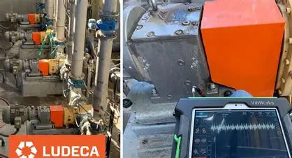 New to the Team