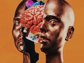 The Brain's Pharmacy: Nature's Medicine Cabinet of Adaptation and Constructive Behavioral Change 