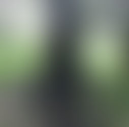 Jovan Kursula i Arapin