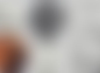 TEMENIĆI - PRAISTORIJSKI SRBI TROMORAVLJA