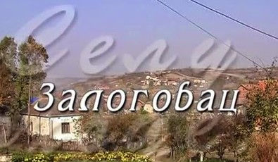 Prezimena 1905. - Zalogovac