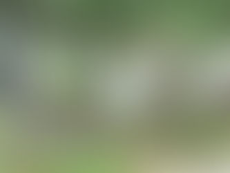 Staro groblje kod Ruskog spomenika (Sastavci)