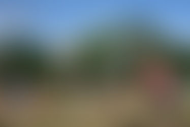 Volleyball – 33. Mixed-Turnier in Oberdorf