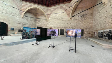 Azerbaijani artist’s works on display at Edirne Biennial