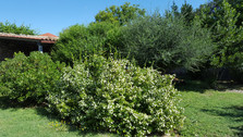 untitled image