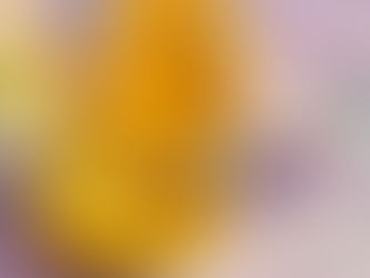 urgent care in greeley