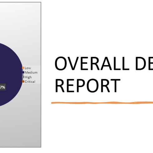 Overall Defect Report