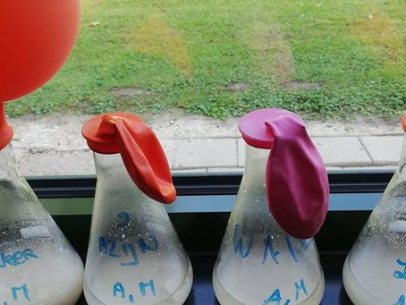 Hasp-O Zepperen - Practicum