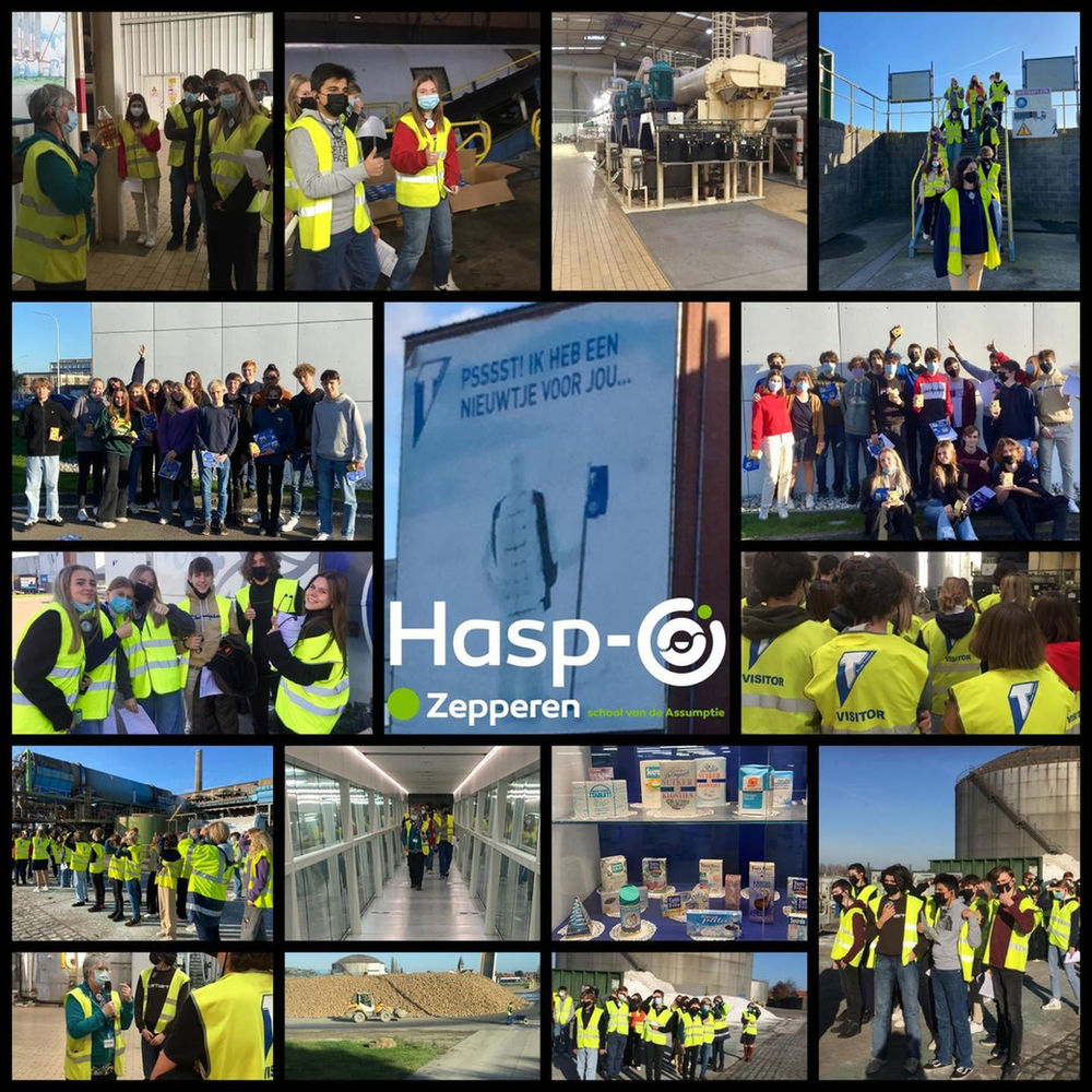 HaspO Zepperen Tiense Suiker