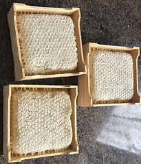 Pure Comb Honey