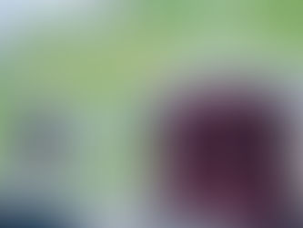 Guatemala, Then and Now: A Journey of Purpose, Perspective, and Progress