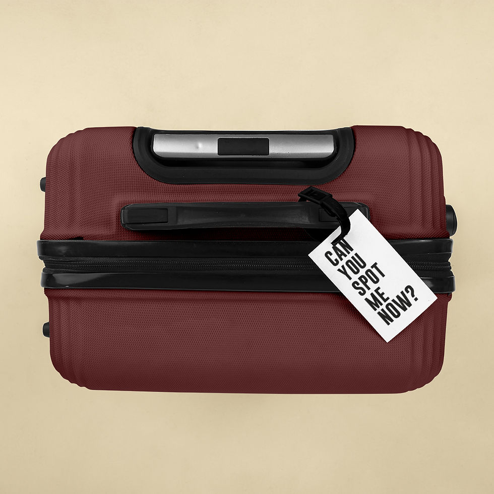 Thumbnail: Luggage Tag - Can you spot me?