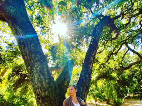 Becoming One with the Trees