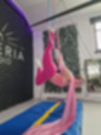 Silks