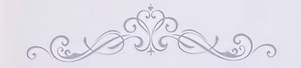 decor top lilac color
