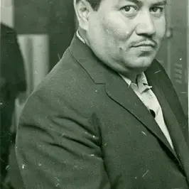 PINCEL VIAJERO